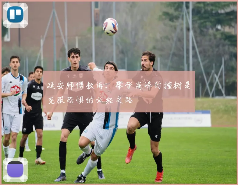 延安师傅教诲：攀登高峰时撞树是克服恐惧的必经之路